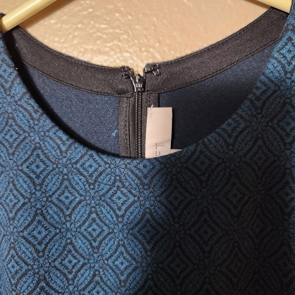 Loft Womens Sleeveless Blue Ponte Knit Patterned Sheath Dress-Size 4 - Picture 7 of 10